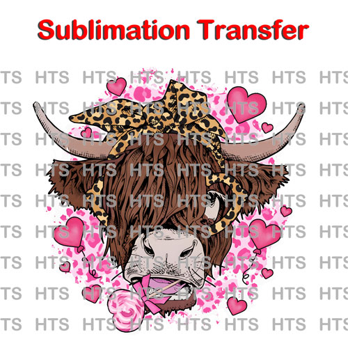 Highland Cow Valentine ready to press sublimation iron on transfer